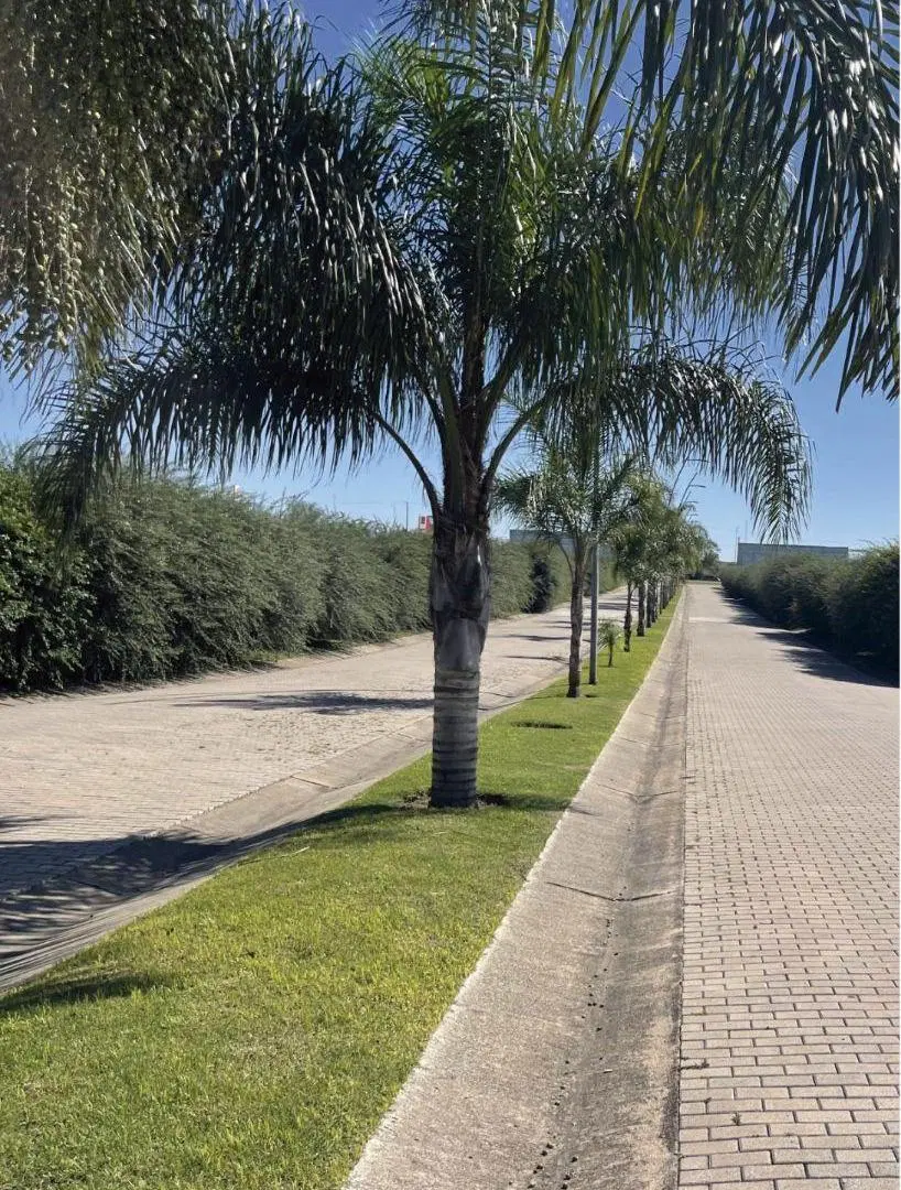 VENTA LOTE EN ACQUAVISTA VILLA RESIDENCIAL - 500m2, CENTRAL 5