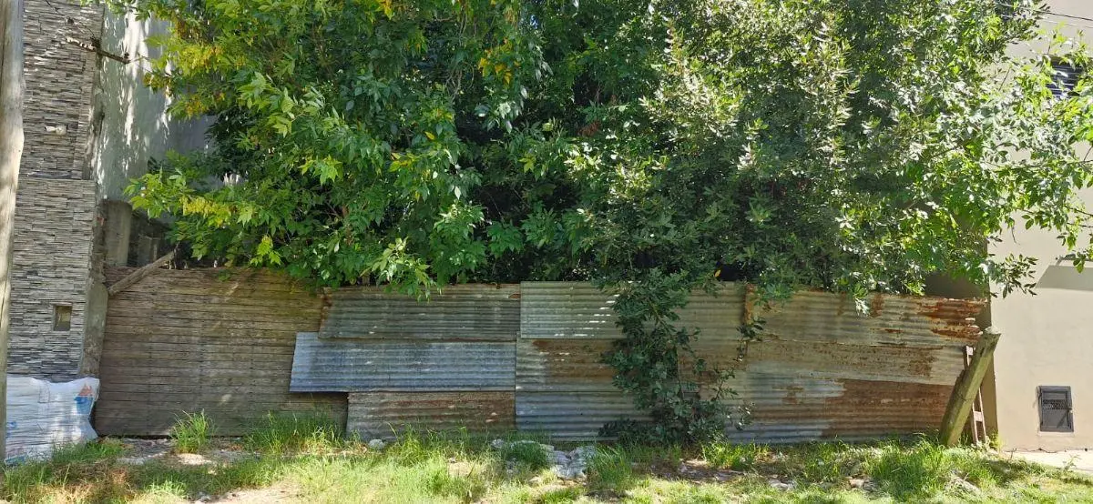 Lote en Venta de 10x43 en Berisso 4