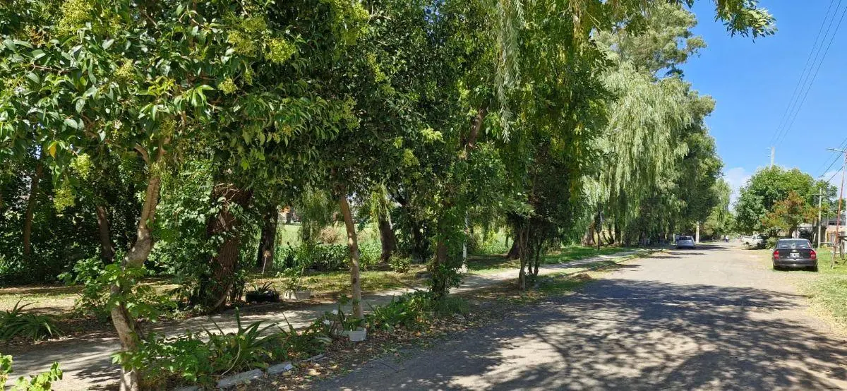 Lote en Venta de 10x43 en Berisso 2