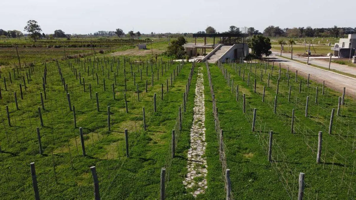 VENTA LOTE MERLO  APTO CREDITO 5