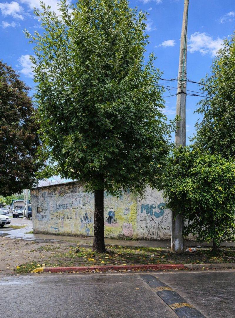 Venta Casa 4 ambientes Galpón en Castelar