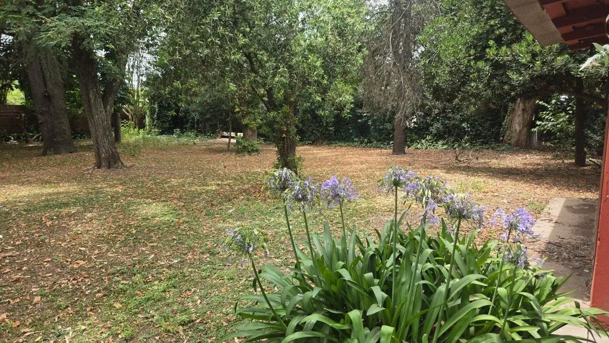 VENTA TERRENO LOTE EN PONTEVEDRA 5