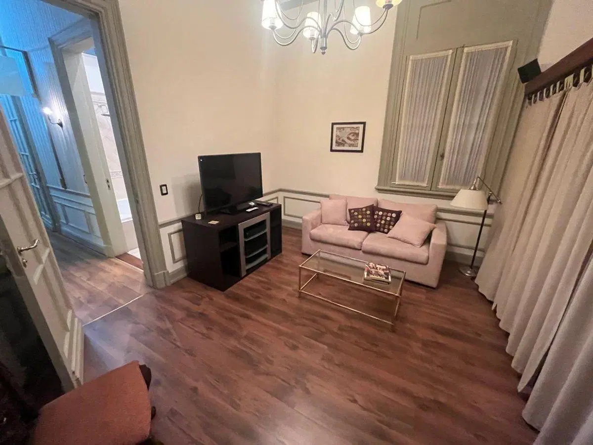 VENTA DEPARTAMENTO PISO COMPLETO MICROCENTRO 231M2 4
