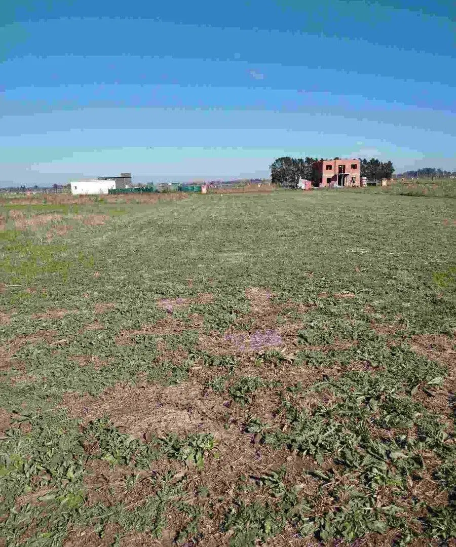 Venta Lote Terreno Barrio Cerrado San Fermin 2
