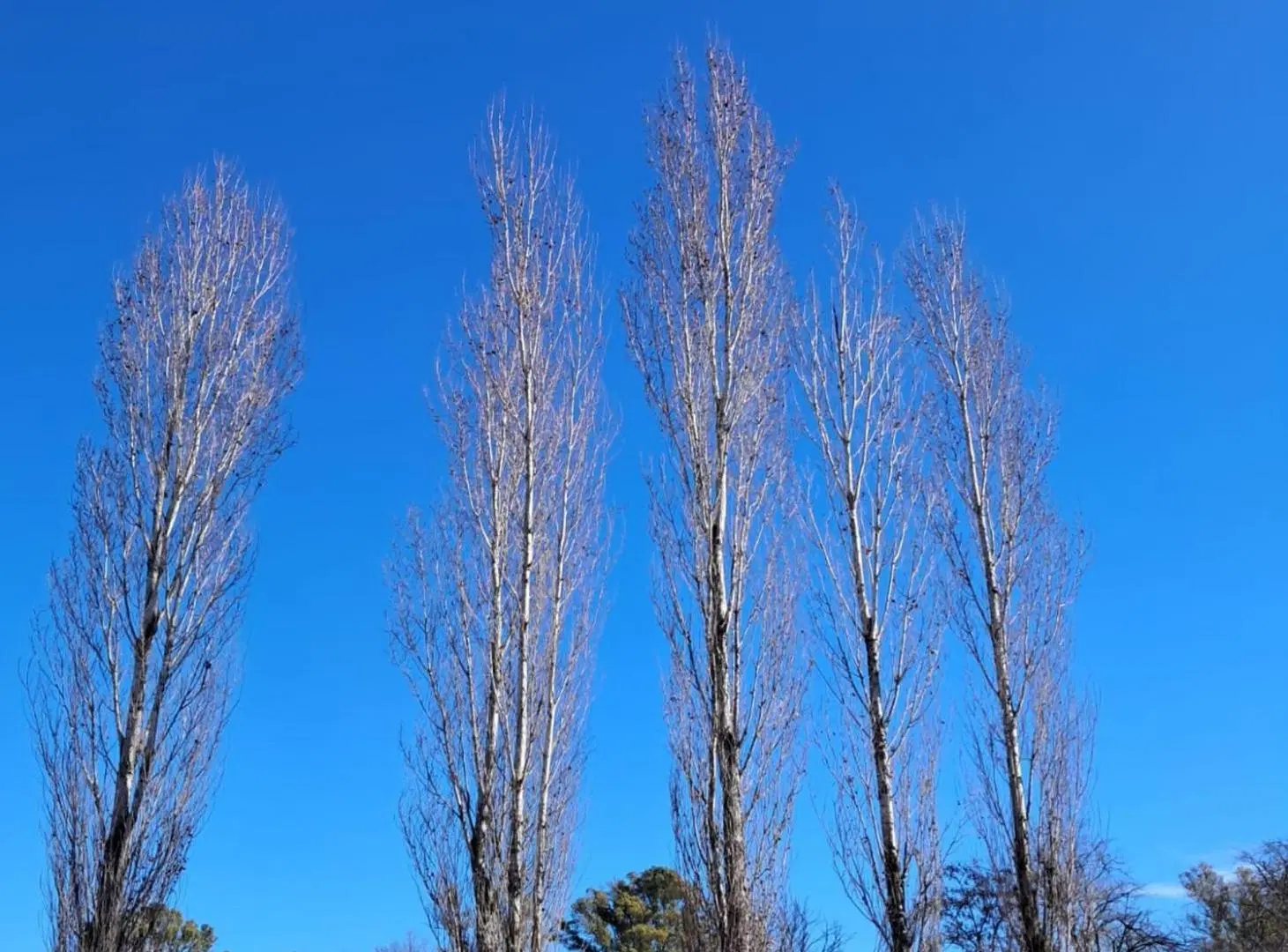 VENDE LOTE 10.000 COMARCAS DE LUJAN SANTA MATILDE 4