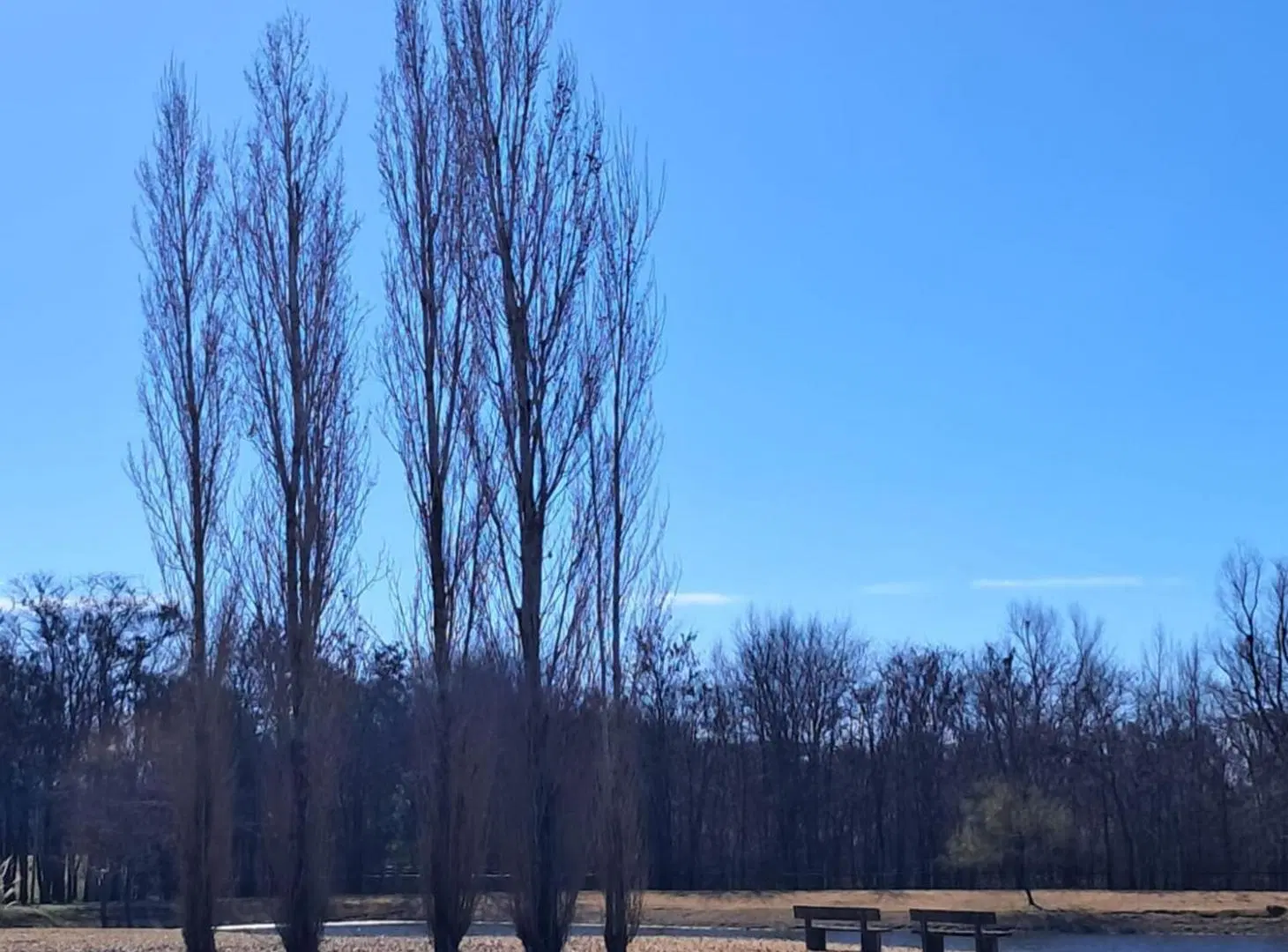 VENDE LOTE 10.000 COMARCAS DE LUJAN SANTA MATILDE 8