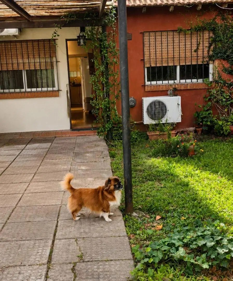 Venta PH 3AMB Ituzaingó con Jardín 8