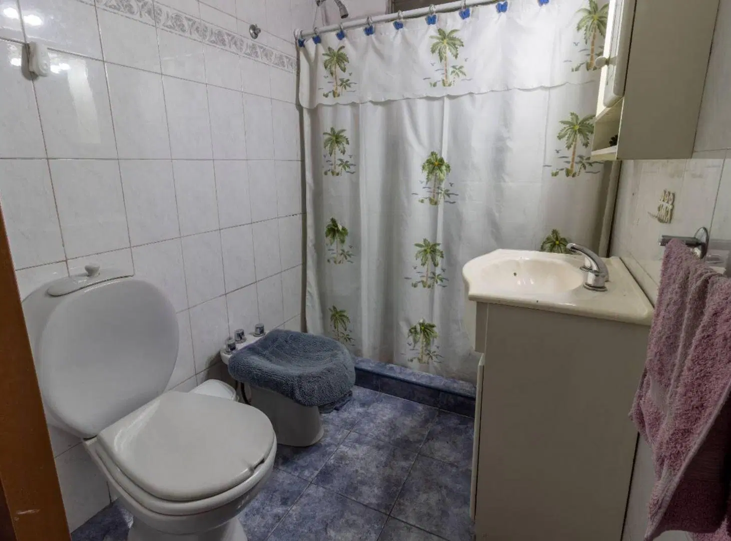 VENTA CASA 5 AMBIENTES QUINCHO COCHERA-HAEDO 5