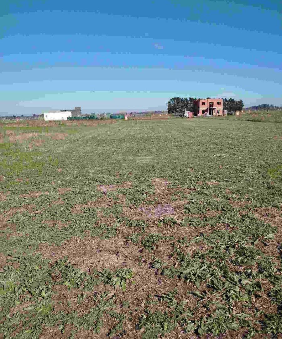 Foto de Venta Lote Terreno Barrio Cerrado San Fermin, imagen 1