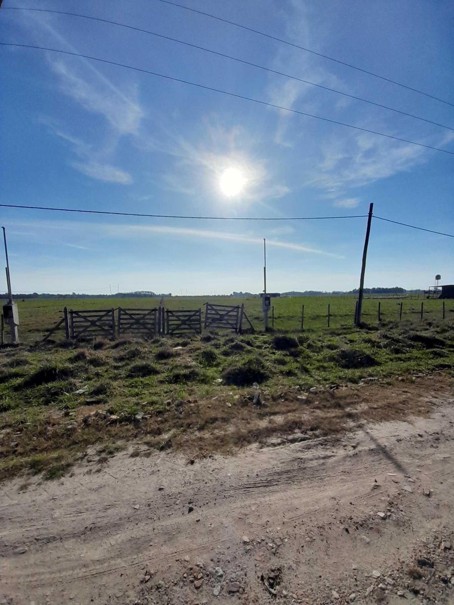 Foto de Lote de terreno en venta en calle 62 e/ 288 y 312 de Gómez, Brandsen., imagen 3