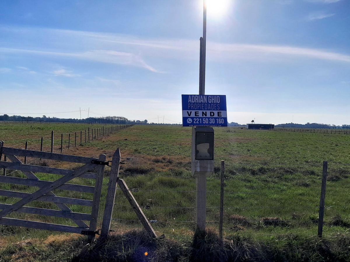 Foto de Lote de terreno en venta en calle 62 e/ 288 y 312 de Gómez, Brandsen., imagen 5