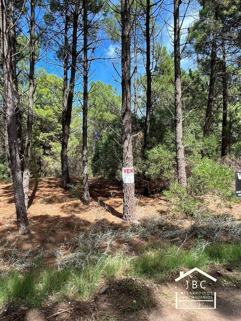 Foto de VENTA, TERRENO EN BARRIO PINAR DEL GOLF, MONTE HERMOSO., imagen 2