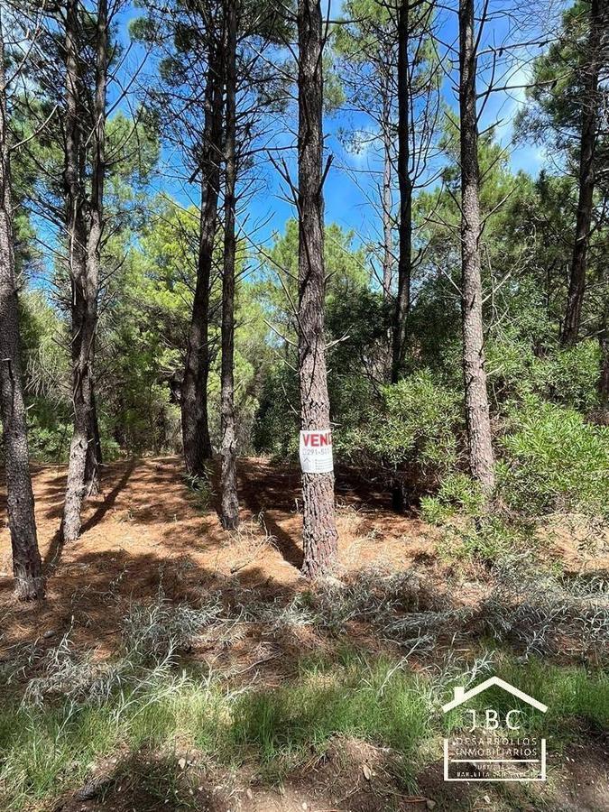 Foto de VENTA, TERRENO EN BARRIO PINAR DEL GOLF, MONTE HERMOSO., imagen 4