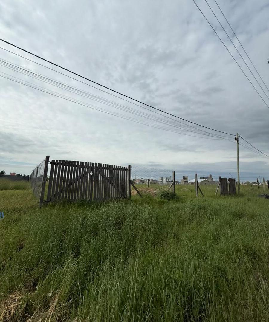Foto de Terreno en Milla Mapu, imagen 1