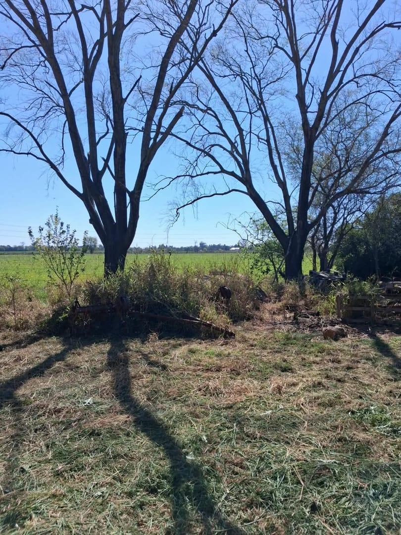 Foto de campos de 40.Ha -14.Ha- 9.Ha todos colindantes, imagen 1
