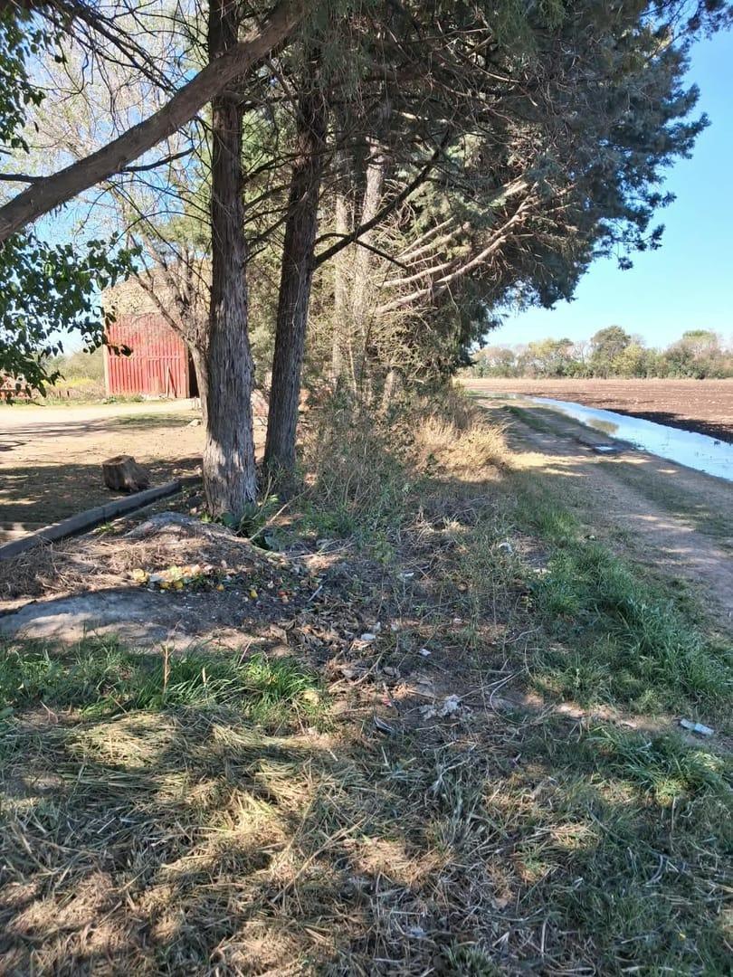 Foto de campos de 40.Ha -14.Ha- 9.Ha todos colindantes, imagen 5