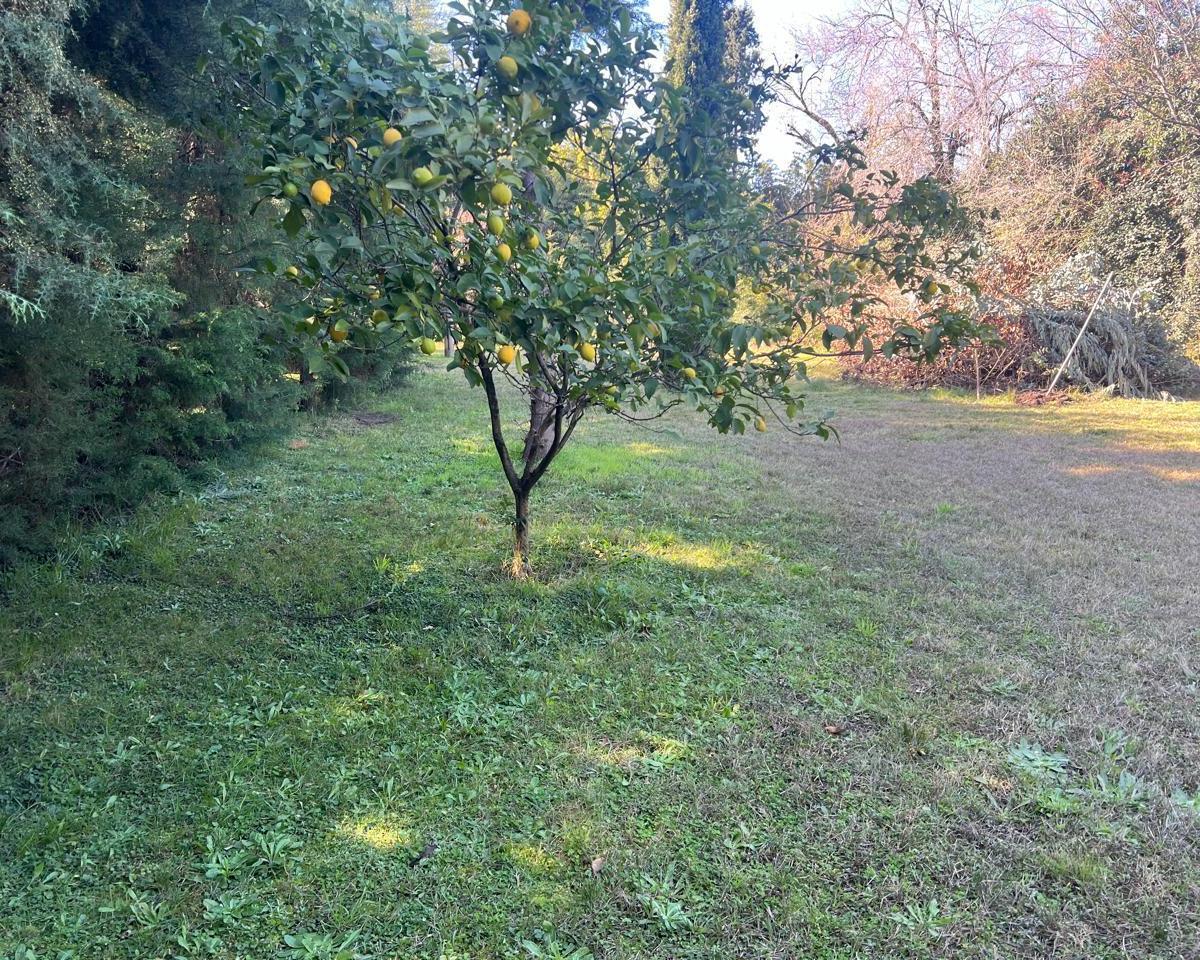 Venta lote 1200mts2 en barrio semicerrado Leylander