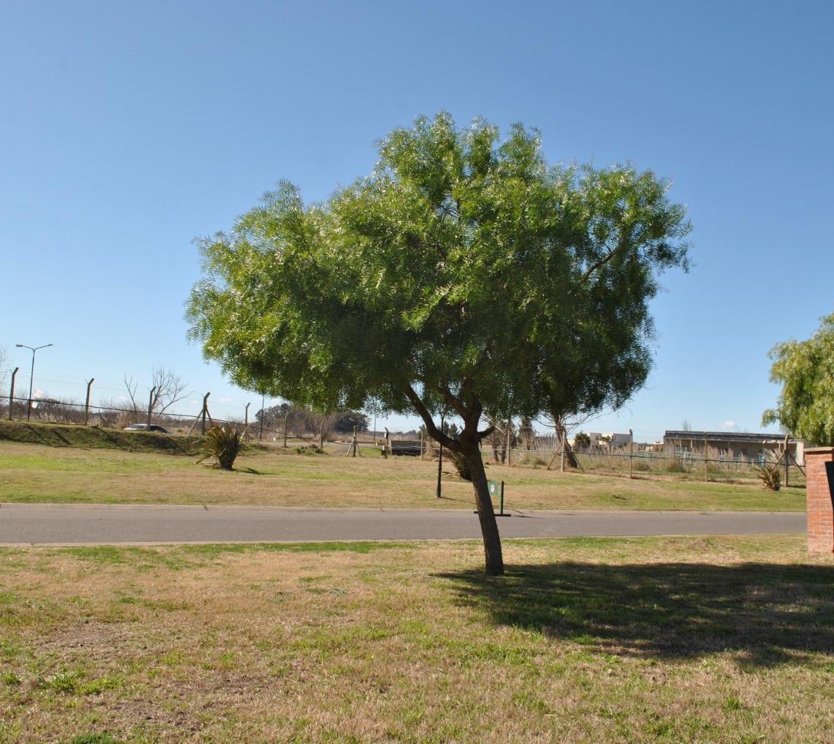 Hermoso lote a la laguna en Area 8, San Sebastián