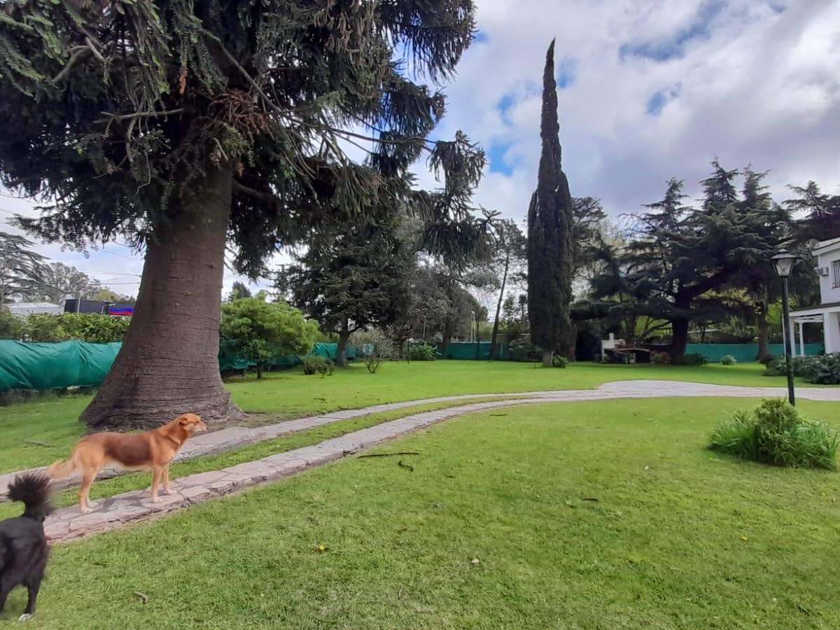 Foto de Venta lote 1200m2 sobre Ruta 8, imagen 2
