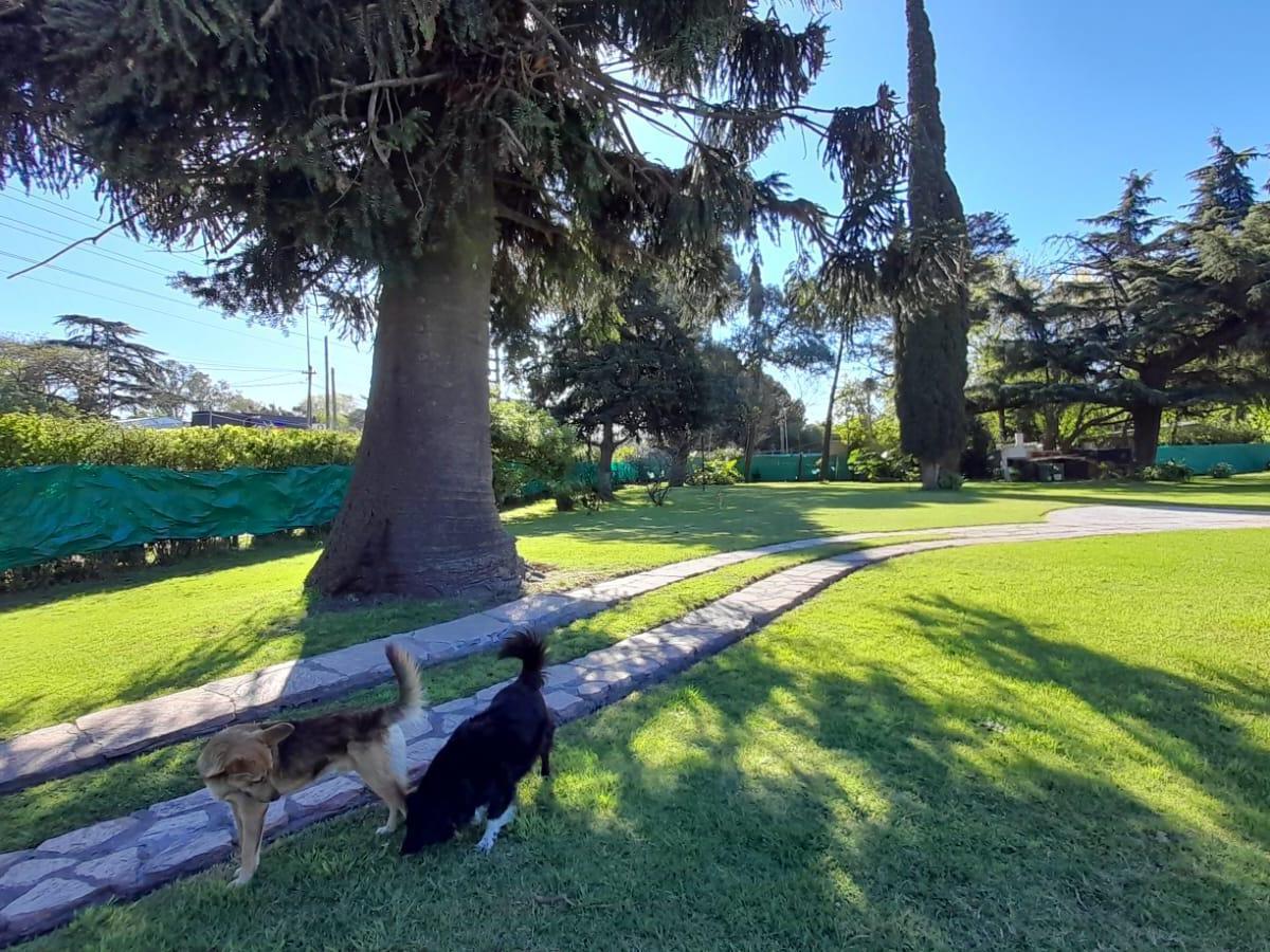 Foto de Venta lote 1200m2 sobre Ruta 8, imagen 4