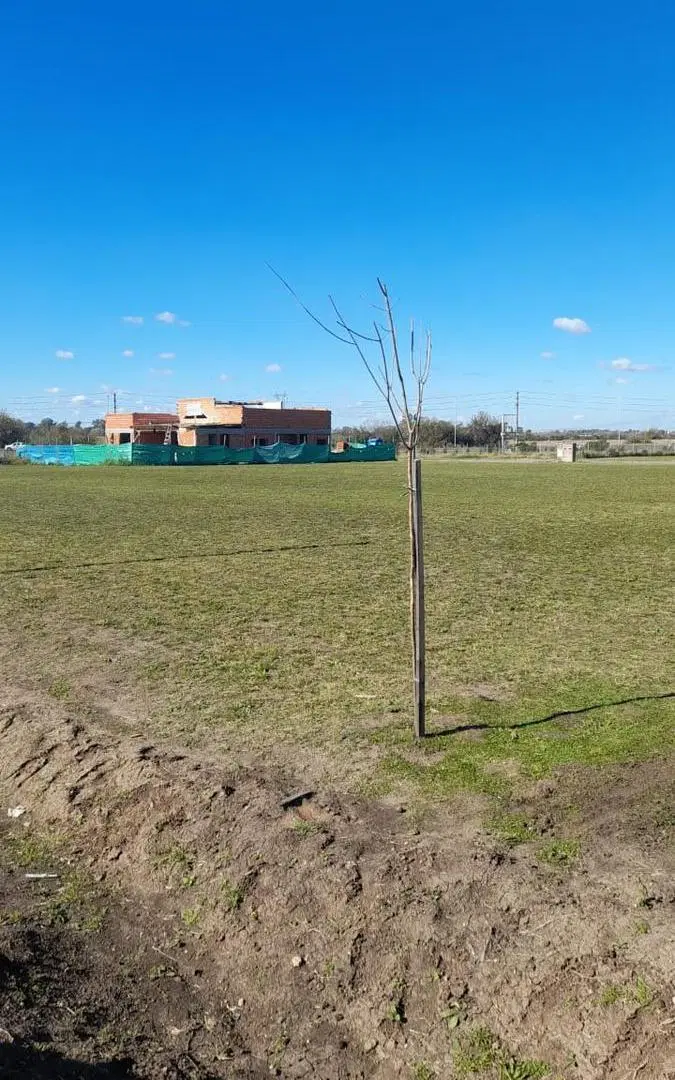 VENTA lote de 600 mts. con Servicios agua-claocas-gas-luz-fibra optica, y amenities 5