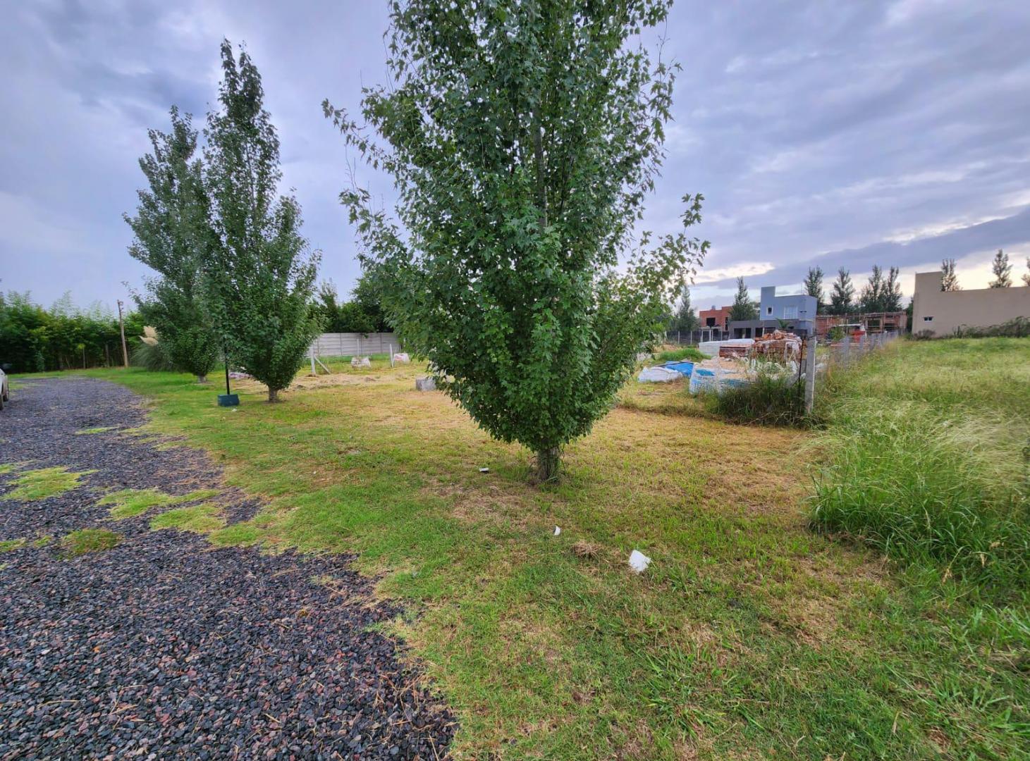 Foto de VENTA LOTE TIPAS BLANCAS - YEI PORA TORTUGUITAS, imagen 3