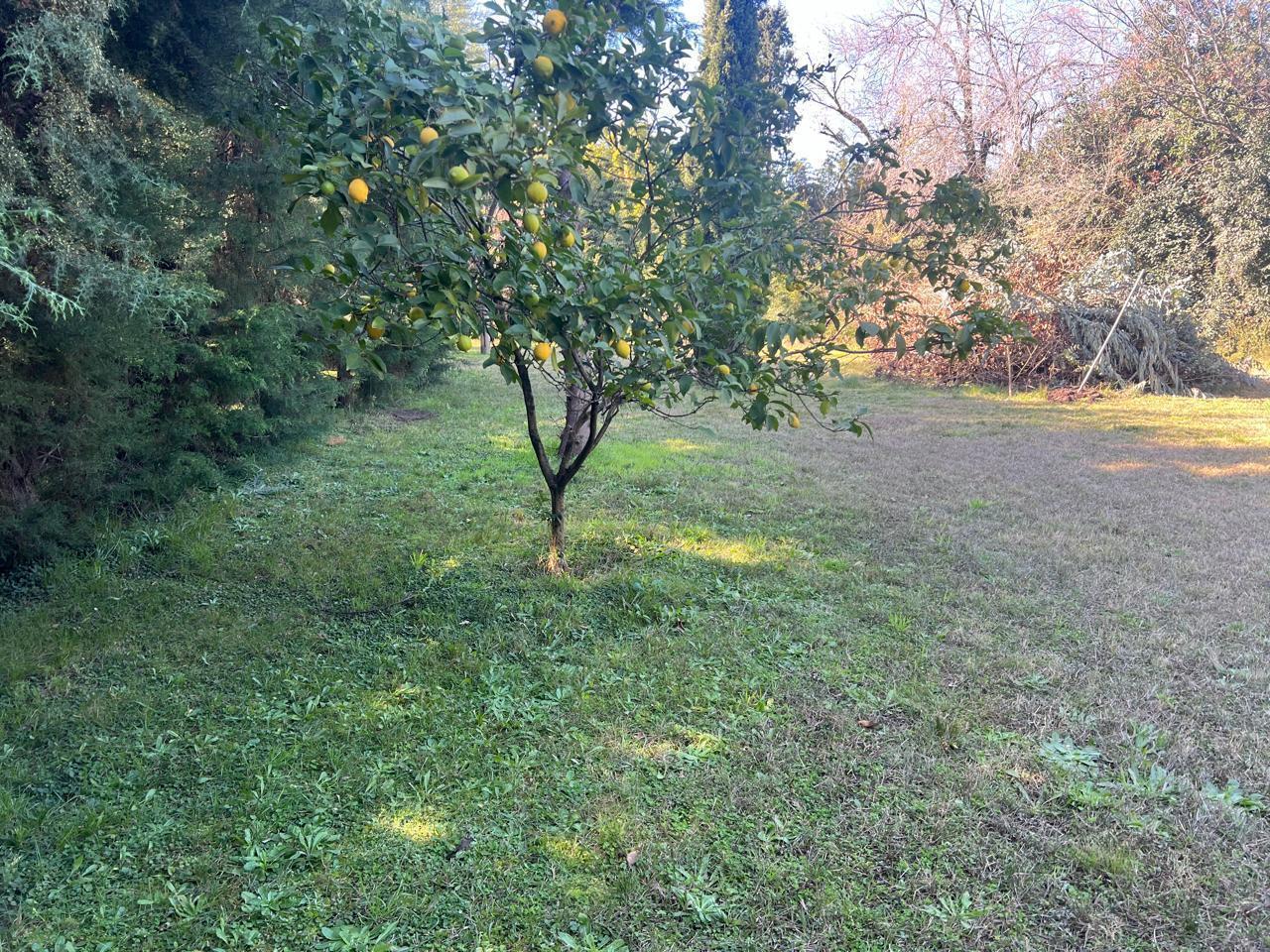 Foto de Venta lote 1200mts2 en barrio semicerrado Leylander, imagen 2