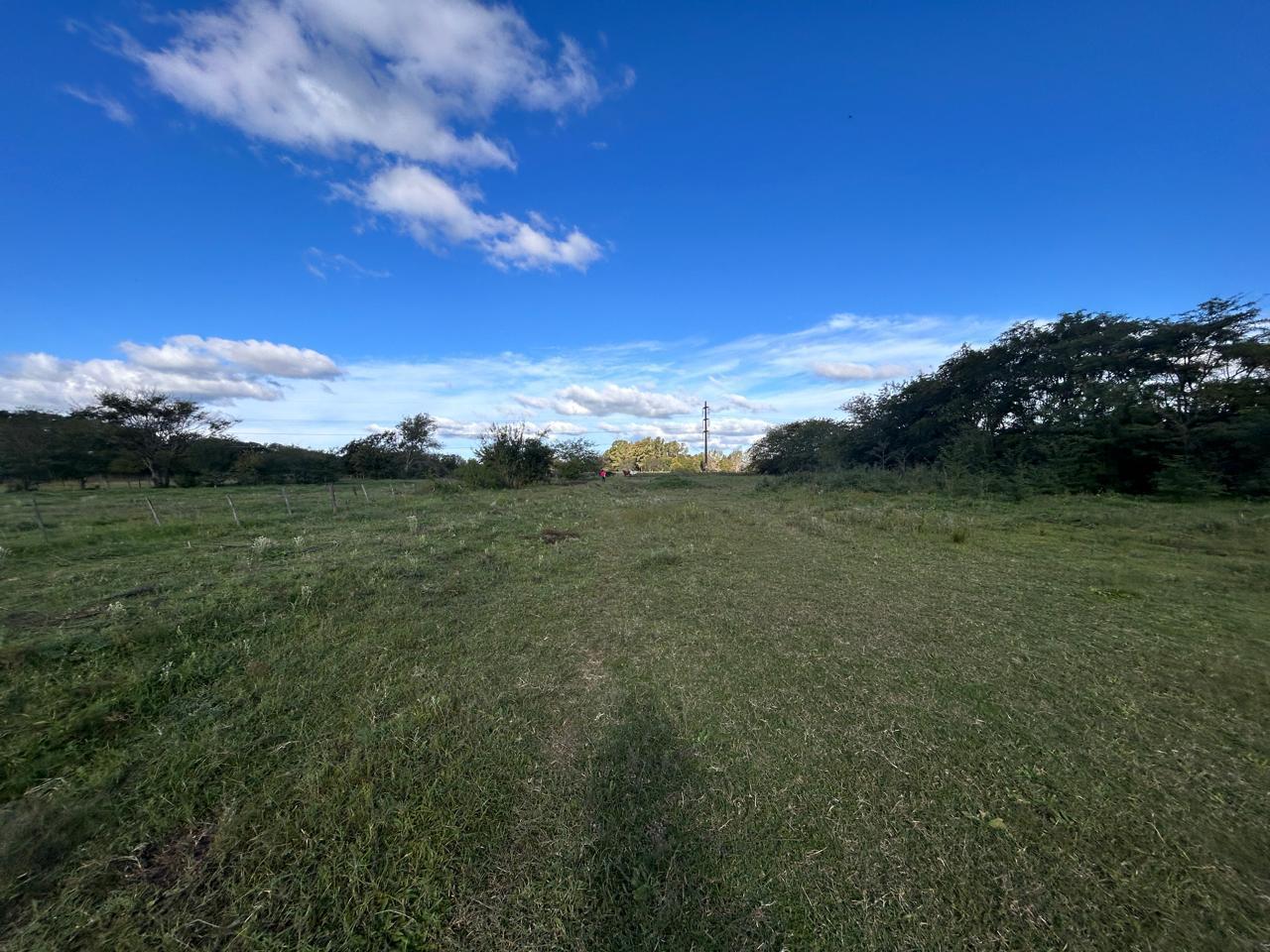 Foto de Venta terreno con casa 3 ambientes de 25789m2 - Mercedes, Buenos Aires, imagen 5