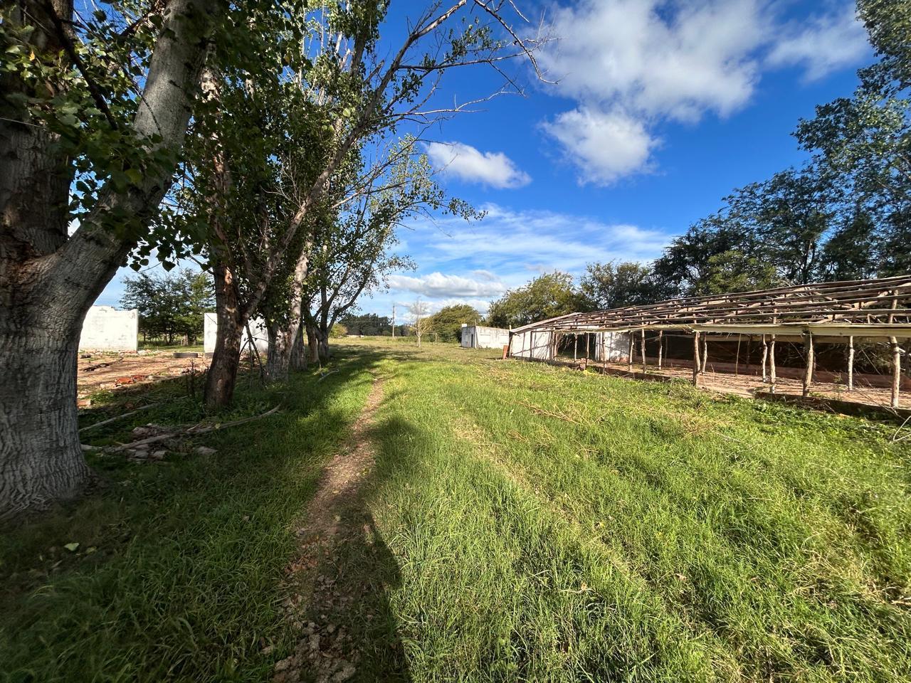 Foto de Venta terreno con casa 3 ambientes de 25789m2 - Mercedes, Buenos Aires, imagen 2