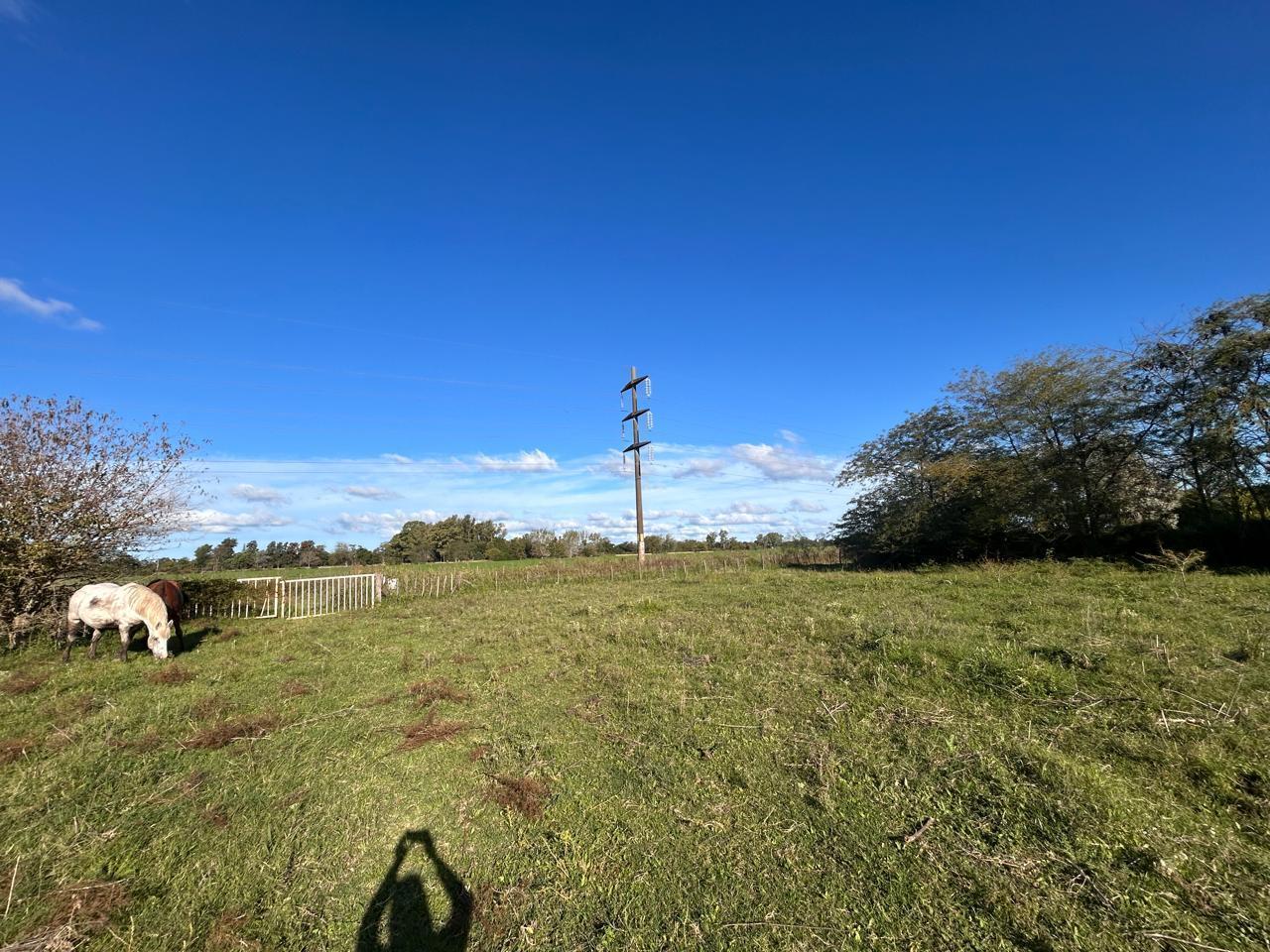 Foto de Venta terreno con casa 3 ambientes de 25789m2 - Mercedes, Buenos Aires, imagen 3