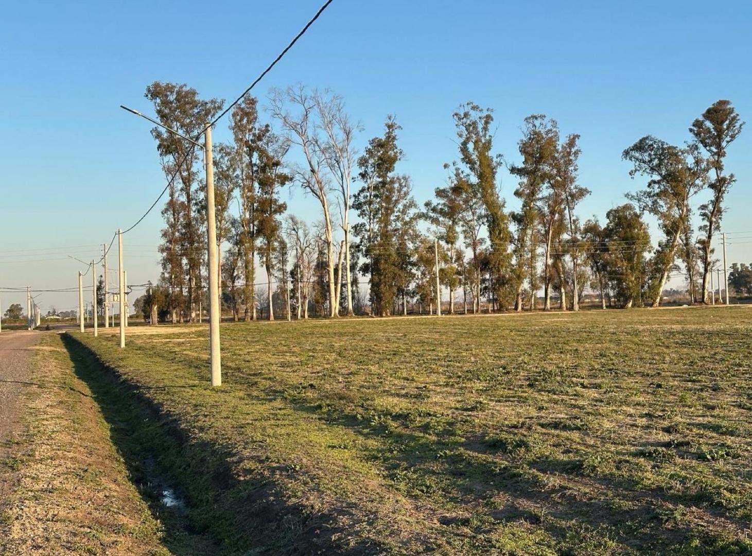 Foto de Terreno - Exaltacion De La Cruz, imagen 1