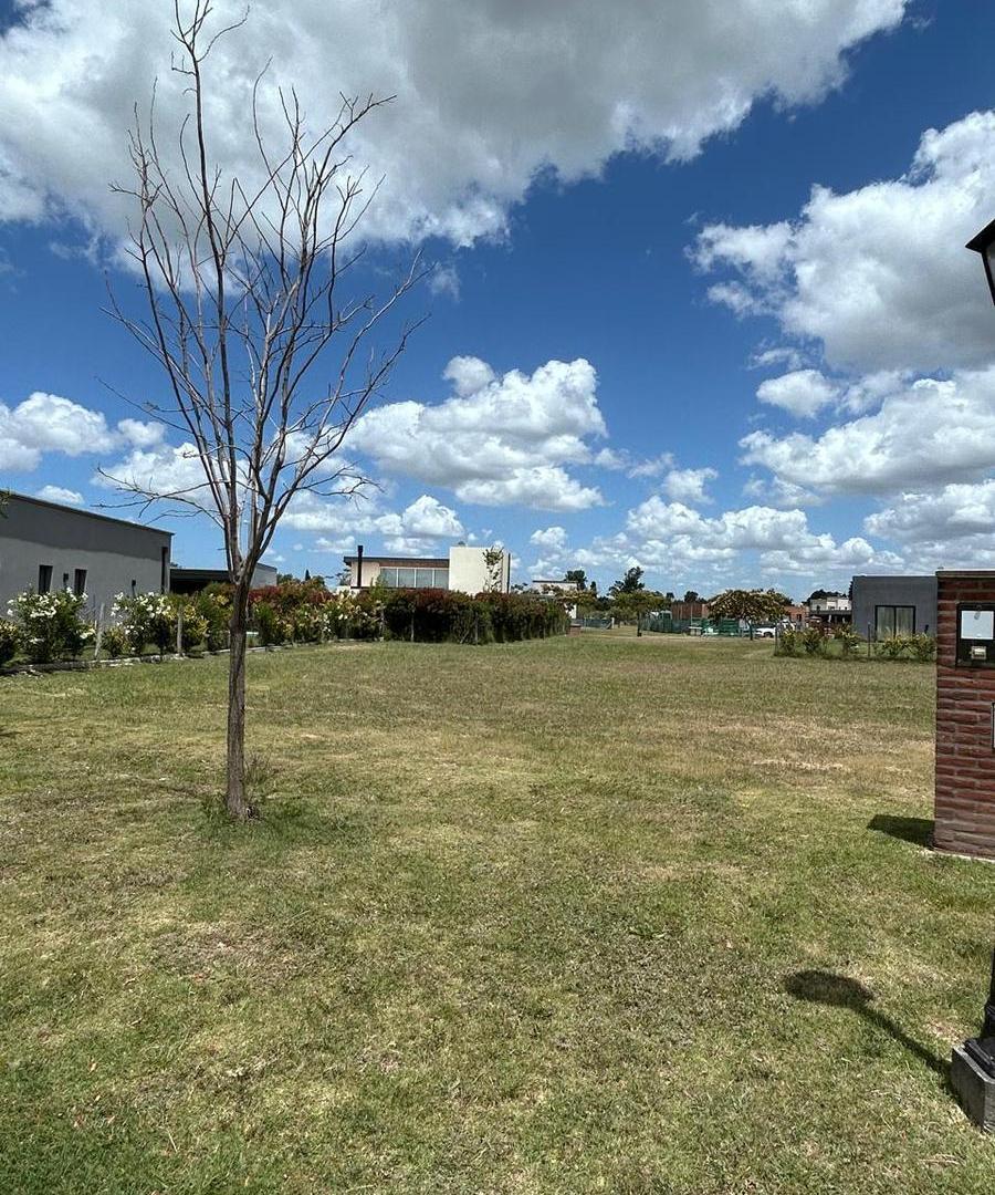 Foto de VENTA LOTE CENTRAL- BARRIO SANTA EMILIA PILAR DEL ESTE, imagen 2
