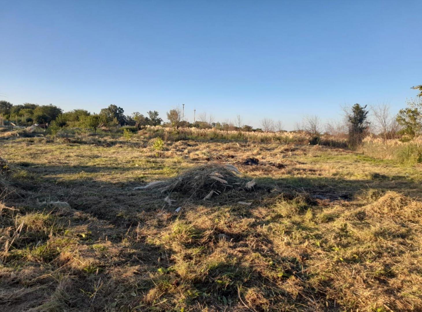 Foto de VENTA LOTES UNIFICADOS 4200 mts EN ASTOLFI-APTO CREDITO, imagen 4