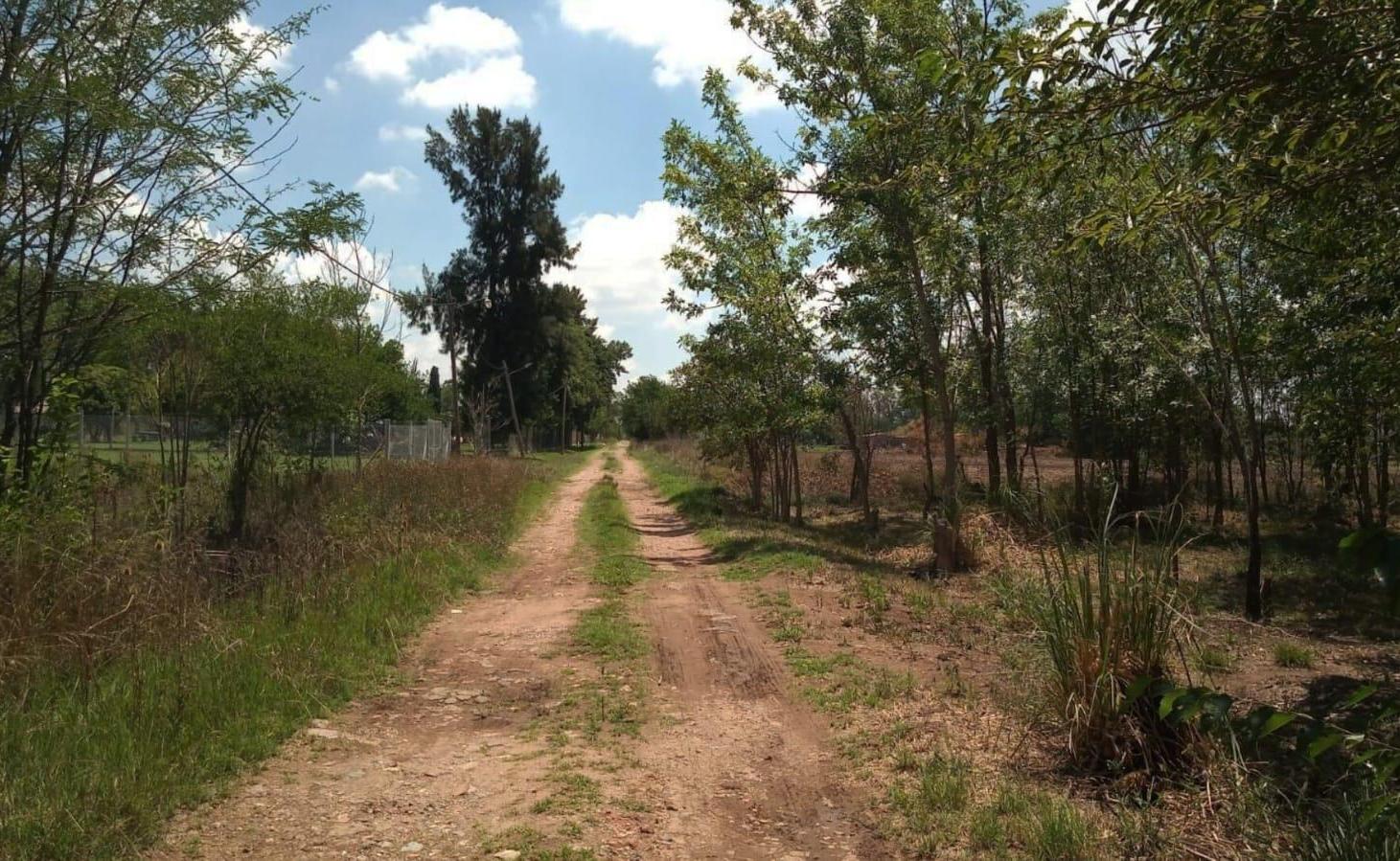 Foto de VENTA LOTES UNIFICADOS 4200 mts EN ASTOLFI-APTO CREDITO, imagen 3