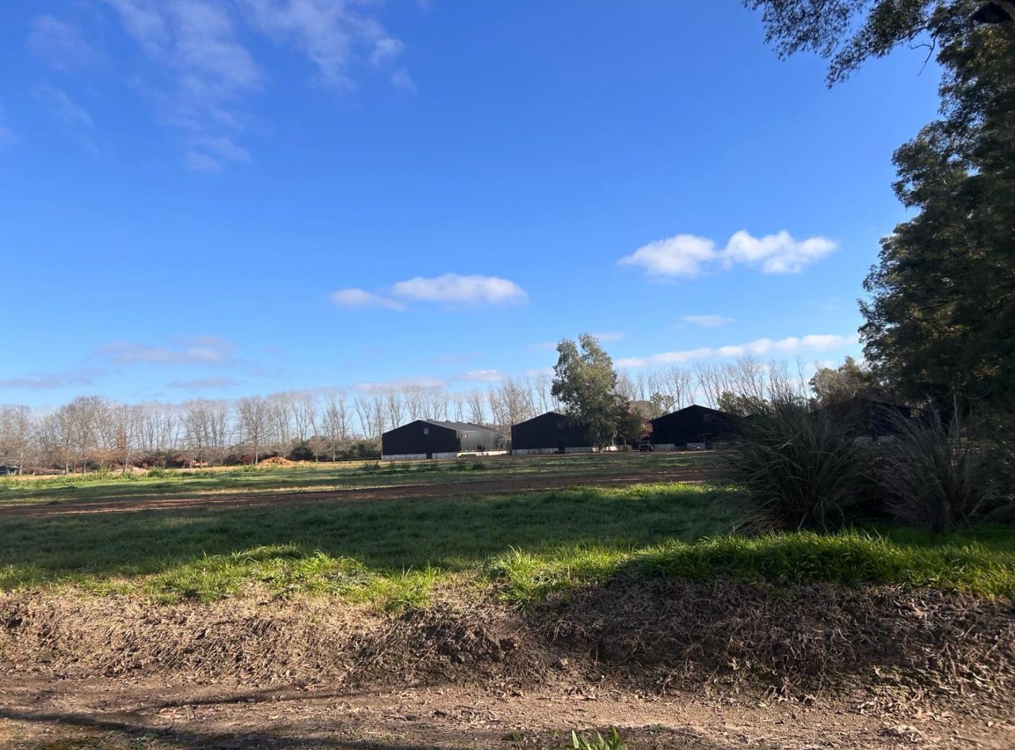 Foto de Terreno en Tessalia Tierra de Centauros, imagen 4