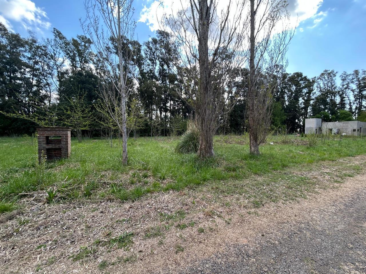 Foto de Venta terreno central 2927mts2 con escritura -Barrio La Amanecida, imagen 2