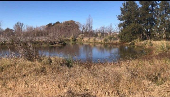 Foto de Terreno en Haras La Amanecida, imagen 1