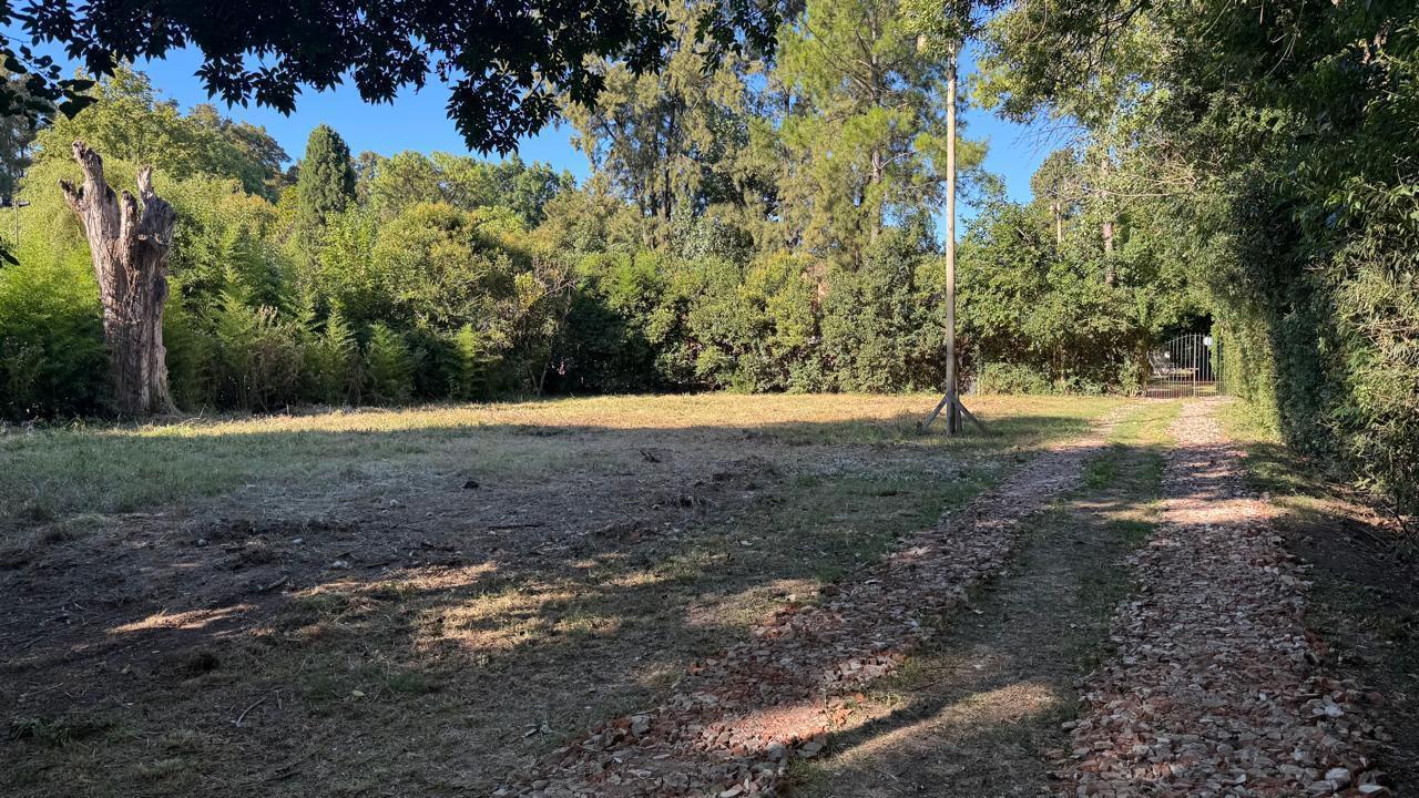 Foto de Venta terreno - en la Lonja Pilar, imagen 2