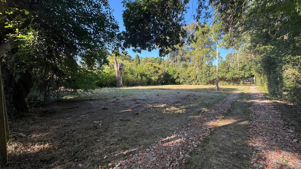 Foto de Venta terreno - en la Lonja Pilar, imagen 1