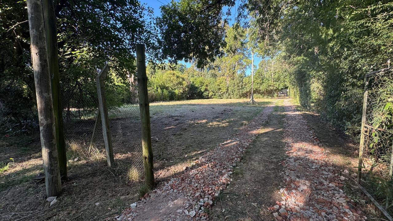 Foto de Venta terreno - en la Lonja Pilar, imagen 4