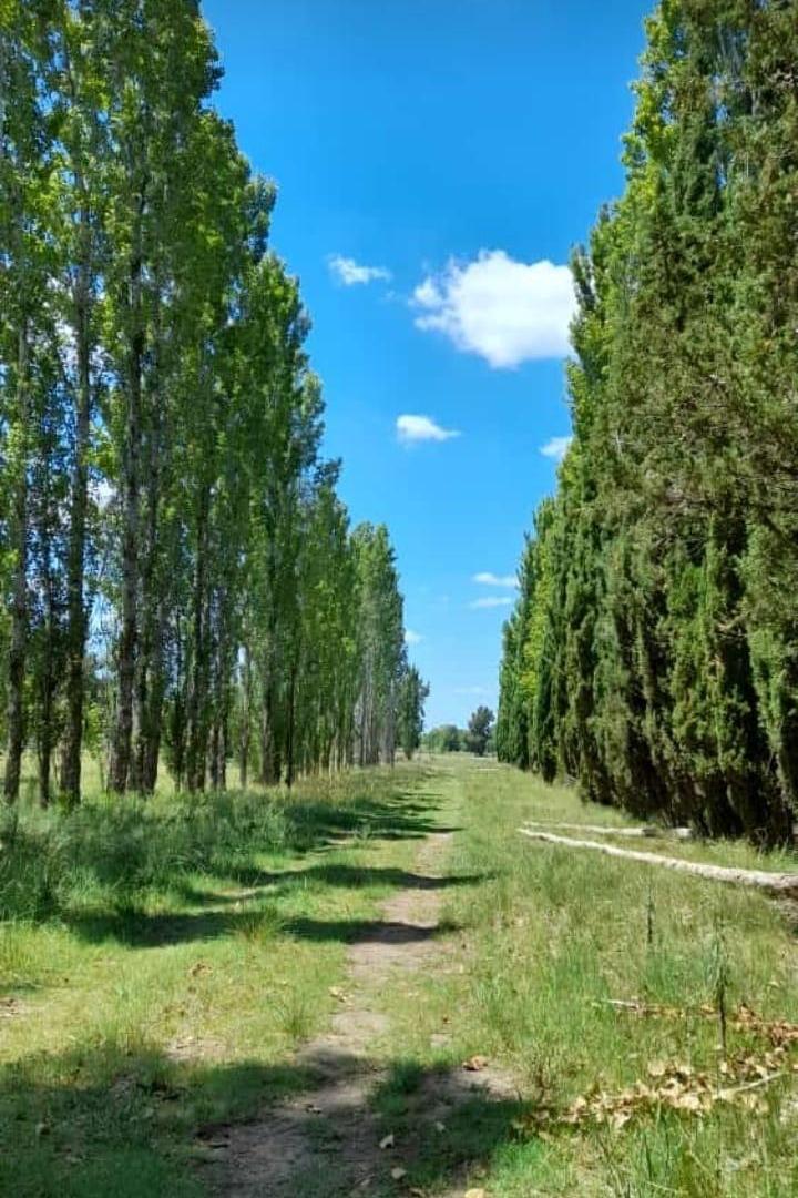Foto de VENTA de lote de 2000 metros, en Club de Campo La Amanecida, Exaltacion, imagen 5