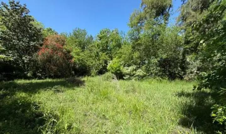 Foto de VENTA 2 LOTES 3100 M2 C/U - COMARCAS DEL SOL -EXALTACION DE LA CRUZ, imagen 3