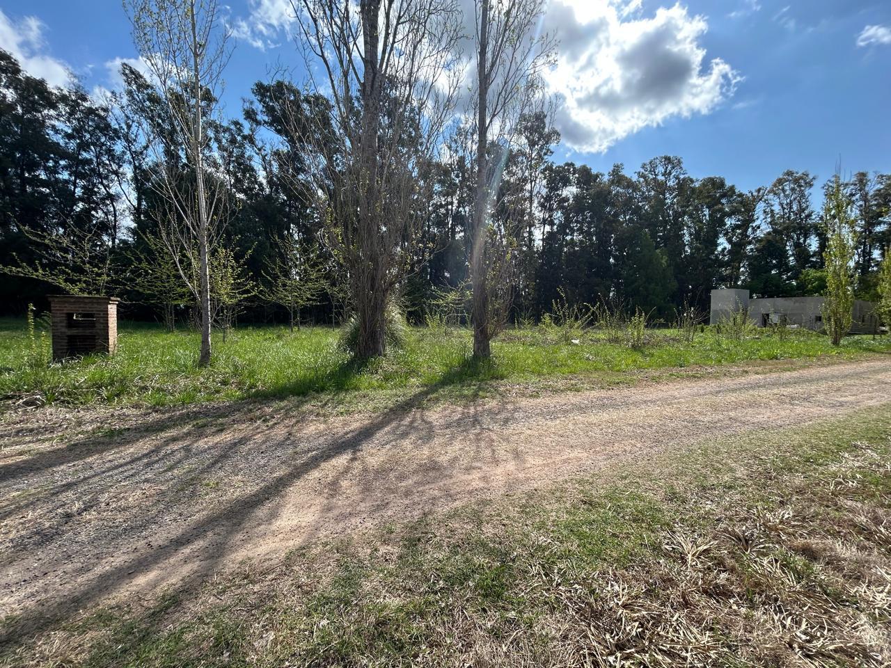 Foto de VENTA LOTE 2000 M2 C/ BAJADA PROPIA - CLUB DE CAMPO LA AMANECIDA, imagen 1
