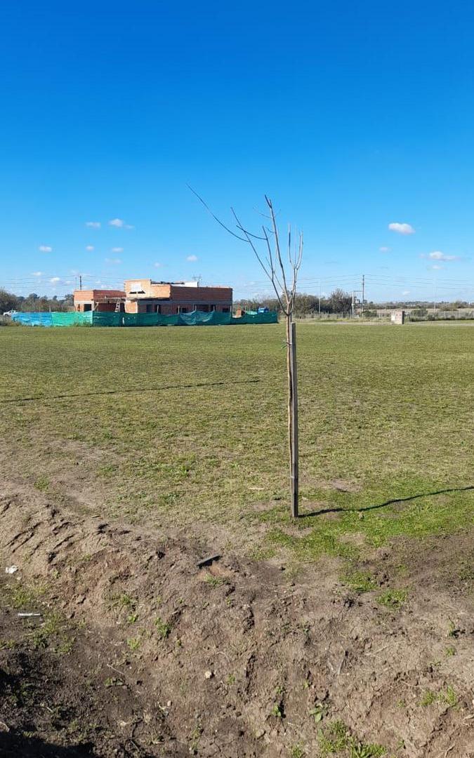 Foto de VENTA lote de 600 mts. con Servicios agua-claocas-gas-luz-fibra optica, imagen 5
