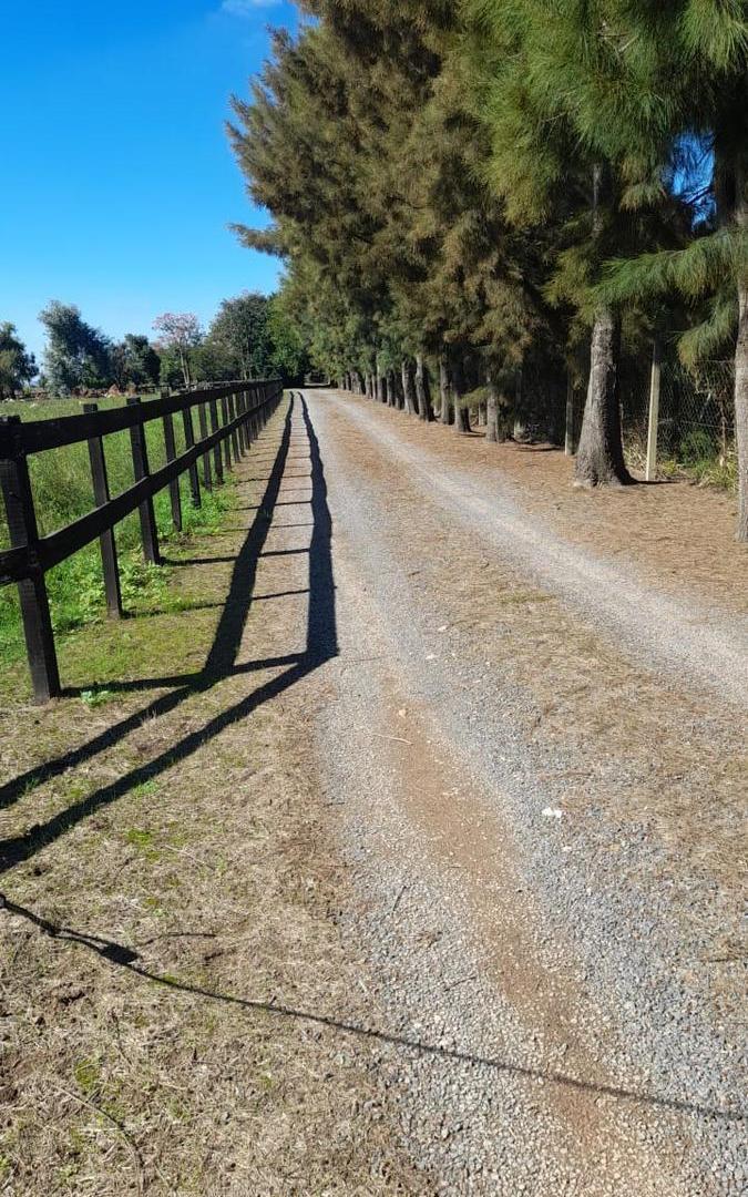 Foto de VENTA CAMPO 24 Ha. agropecuarias, APTO GRANJA, Emprendimiento o Cultivo, imagen 1