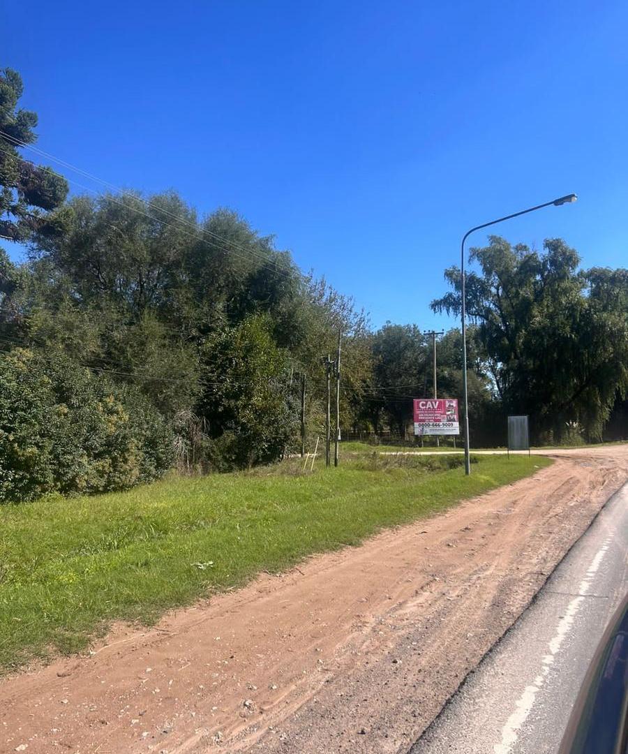 Foto de VENTA CAMPO 24 Ha. agropecuarias, APTO GRANJA, Emprendimiento o Cultivo, imagen 2