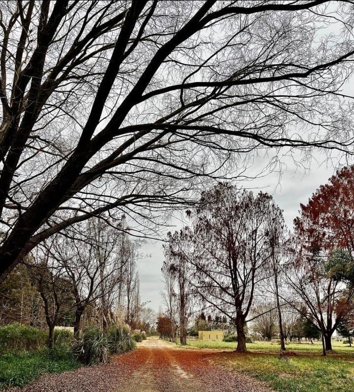 Foto de VENTA lote de 2000 metros cuadrados en Club de Campo LA AMANECIDA, imagen 4