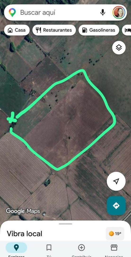 Foto de VENTA CAMPO 7 Ha. APTO DESARROLLADORES, con zonificacion residencial, imagen 3
