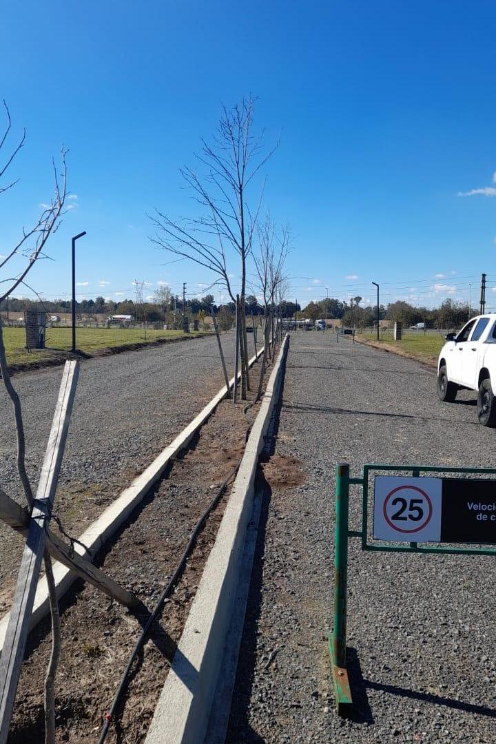 Foto de VENTA lote de 600 mts. B. NORTES DEL PILAR,(agua-claocas-gas-luz-fibra, imagen 1