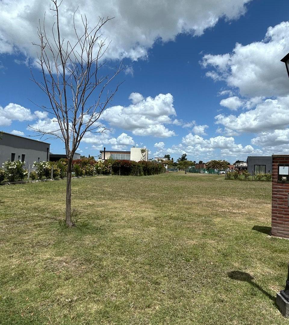 Foto de VENTA LOTE CENTRAL- BARRIO SANTA EMILIA PILAR DEL ESTE, imagen 3